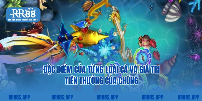 Đặc điểm của từng loài cá và giá trị tiền thưởng của chúng 