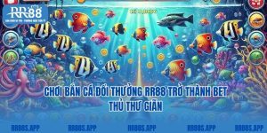 Chơi Bắn Cá Đổi Thưởng RR88 Trở Thành Các Bet Thủ Thư Giãn