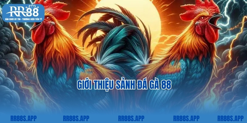 Giới thiệu sảnh đá gà 88 