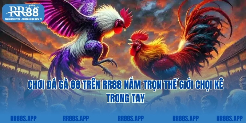 Chơi Đá Gà 88 Trên RR88 Nắm Trọn Thế Giới Chọi Kê Trong Tay