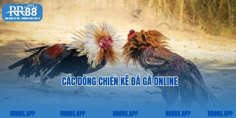 Các dòng chiến kê đá gà online